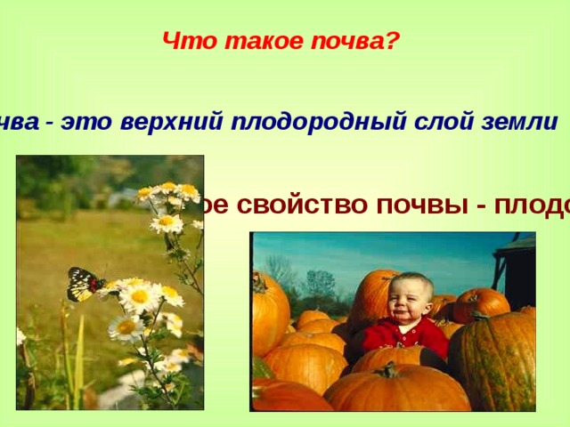 Что такое почва? Почва - это верхний плодородный слой земли Основное свойство почвы - плодородие. 