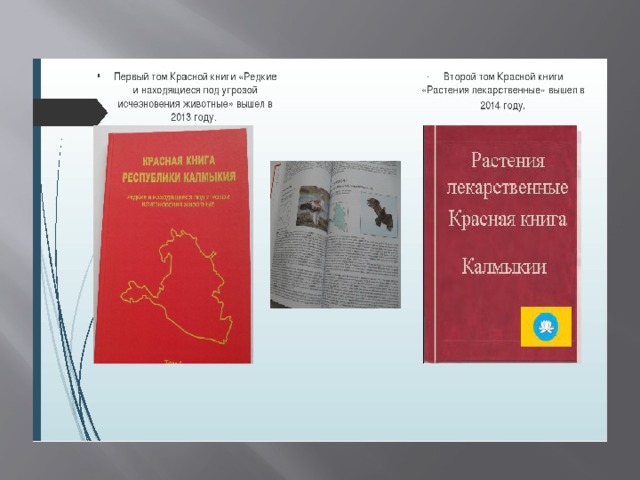 Красная книга калмыкии рисунок