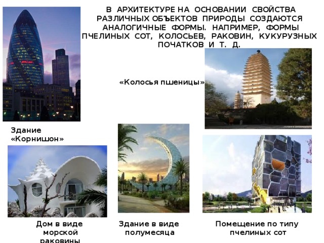  Современные архитекторы пользуются открытиями бионики. Бионика — наука, которая изучает особенности строения и жизнедеятельности организмов с целью создания новых приборов, механизмов, систем Современные архитекторы пользуются открытиями бионики — науки, которая изучает особенности строения и жизнедеятельности организмов с целью создания новых приборов, механизмов, систем. Эмблема бионики — скальпель и паяльник, перевитые интегралом   