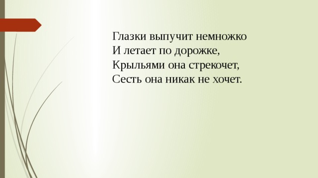Глазки выпучит немножко И летает по дорожке, Крыльями она стрекочет, Сесть она никак не хочет. 