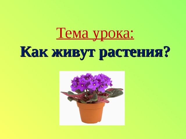 Презентация по окружающему миру 1 класс как живут растения школа россии