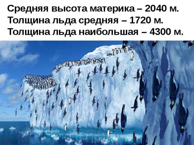 Максимальная толщина ледяного покрова антарктиды достигает. Толщина льда в Антарктиде. Толщина антарктического льда. Средняя толщина льда в Антарктиде. Средняя толщина льда на материке Антарктида.