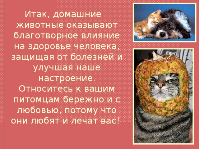 Влияние домашних животных на человека проект Влияние домашних животных на здоровье человека.