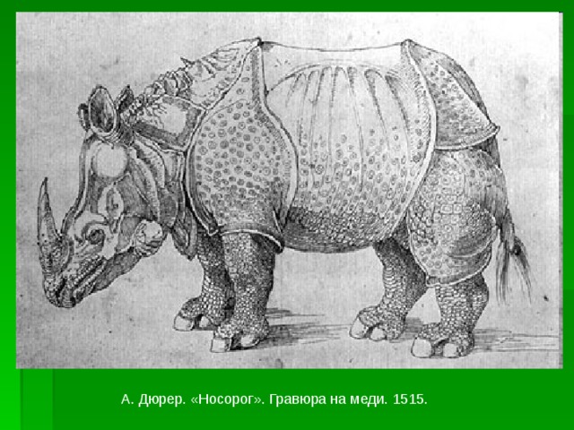А. Дюрер. «Носорог». Гравюра на меди. 1515. 
