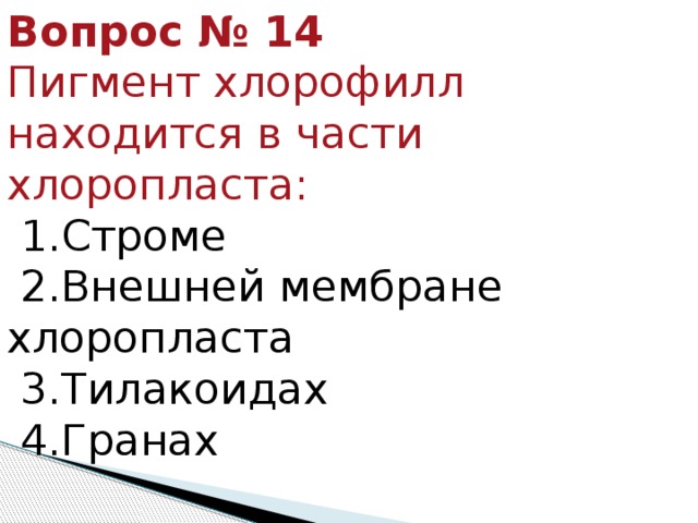 Вопрос № 14  Пигмент хлорофилл находится в части хлоропласта:   1.Строме  2.Внешней мембране хлоропласта   3.Тилакоидах  4.Гранах 