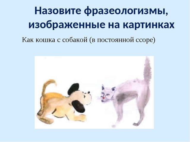 Рисунок жить как кошка с собакой