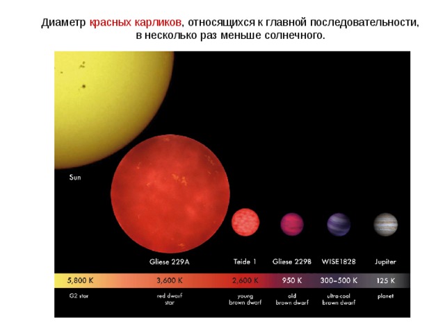 Диаметр красных карликов , относящихся к главной последовательности, в несколько раз меньше солнечного. 
