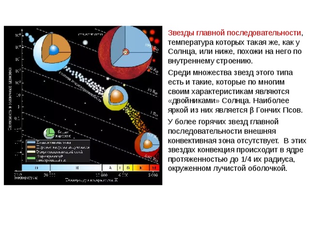 Звезды главной последовательности , температура которых такая же, как у Солнца, или ниже, похожи на него по внутреннему строению. Среди множества звезд этого типа есть и такие, которые по многим своим характеристикам являются «двойниками» Солнца. Наиболее яркой из них является β Гончих Псов. У более горячих звезд главной последовательности внешняя конвективная зона отсутствует. В этих звездах конвекция происходит в ядре протяженностью до 1/4 их радиуса, окруженном лучистой оболочкой. 