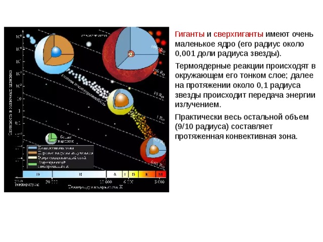 Гиганты и сверхгиганты имеют очень маленькое ядро (его радиус около 0,001 доли радиуса звезды). Термоядерные реакции происходят в окружающем его тонком слое; далее на протяжении около 0,1 радиуса звезды происходит передача энергии излучением. Практически весь остальной объем (9/10 радиуса) составляет протяженная конвективная зона. 