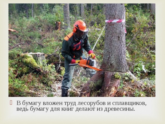 В бумагу вложен труд лесорубов и сплавщиков, ведь бумагу для книг делают из древесины. 