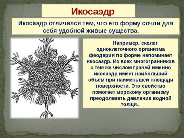 Икосаэдр Икосаэдр отличился тем, что его форму сочли для себя удобной живые существа.  Например, скелет одноклеточного организма феодарии по форме напоминает икосаэдр. Из всех многогранников с тем же числом граней именно икосаэдр имеет наибольший объём при наименьшей площади поверхности. Это свойство помогает морскому организму преодолевать давление водной толщи . 16 