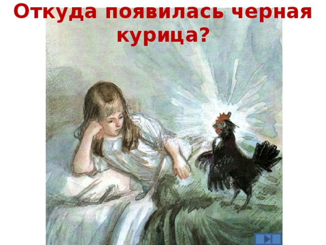 Откуда появилась черная курица? 