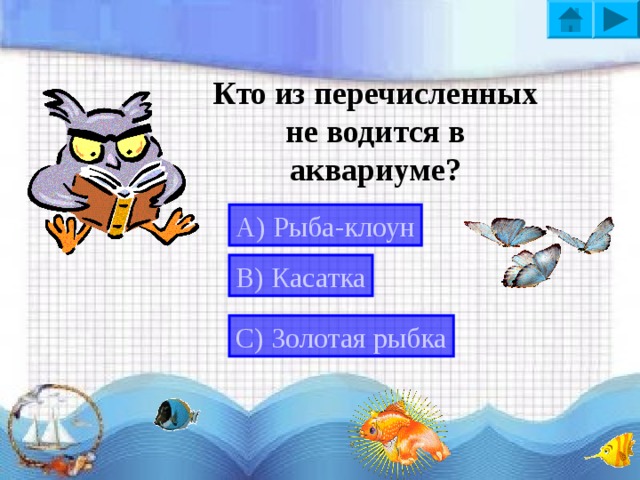 Самоконтроль Вопрос 1 Вопрос 2 Вопрос 3 