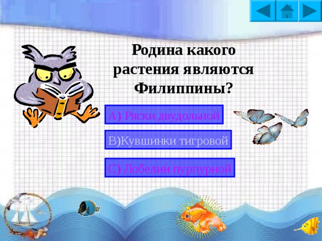 Кто из перечисленных не водится в аквариуме? А) Рыба-клоун В) Касатка С) Золотая рыбка 