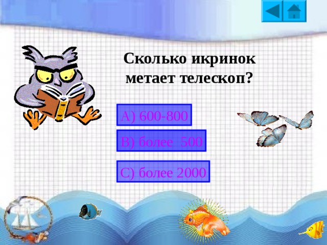Родина какого растения являются Филиппины?  А) Ряски двудольной В)Кувшинки тигровой С) Лобелии пурпурной 