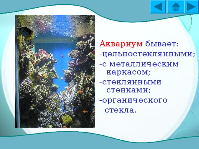 Что такое аквариум?  Аквариум -сосуд для содержания и разведения водных животных и растений.  