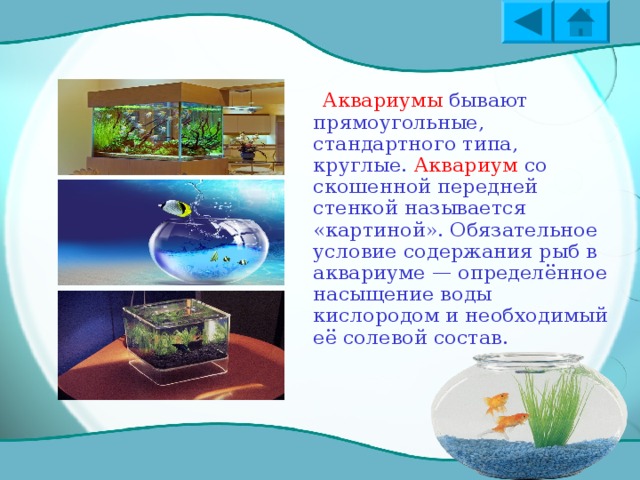 Аквариум бывает: -цельностеклянными; -с металлическим каркасом; -стеклянными стенками; -органического  стекла.  