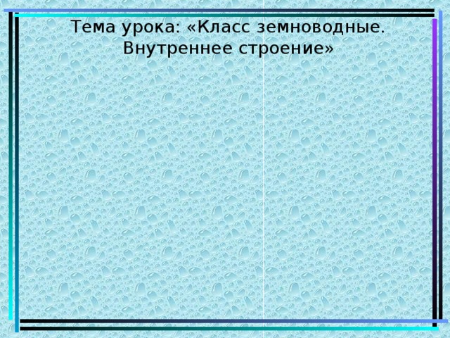 Тема урока: «Класс земноводные. Внутреннее строение» 