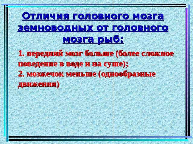 Отличия головного мозга земноводных от головного мозга рыб: 1. передний мозг больше (более сложное поведение в воде и на суше); 2. мозжечок меньше (однообразные движения) 