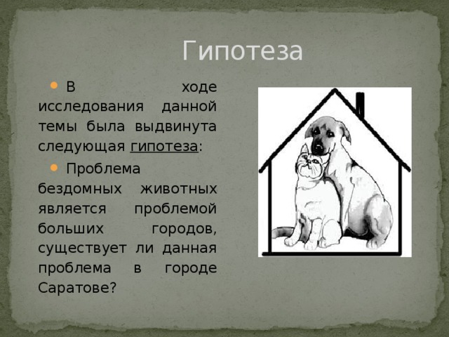 Бездомные животные проект 3 класс
