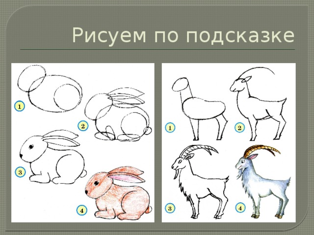 1 класс изо рисуем животных