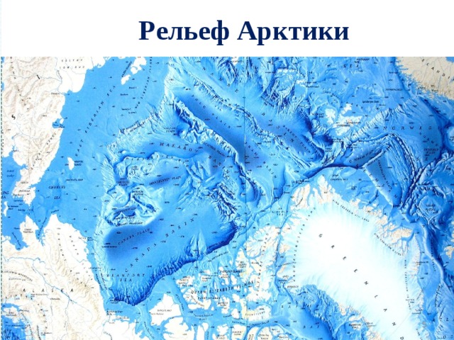 Рельеф Арктики  