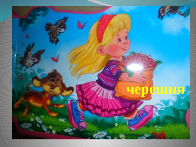черешня 