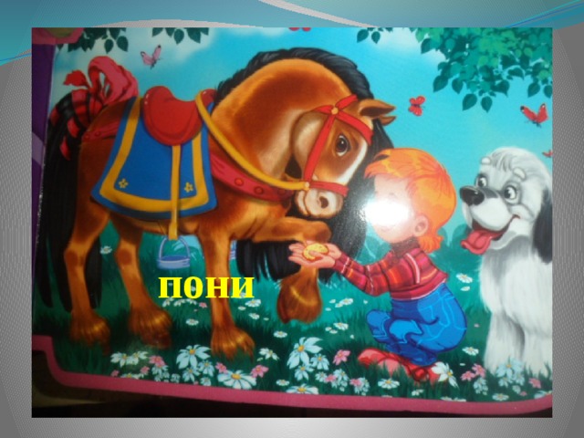 пони 