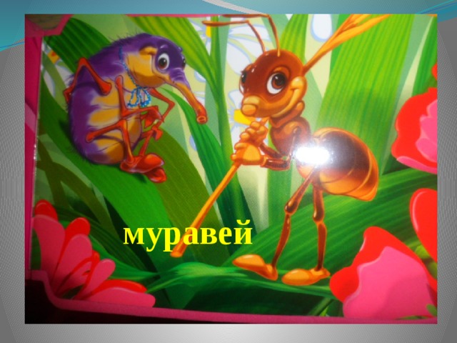 муравей 