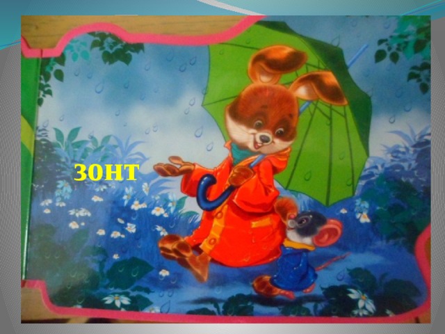 зонт 