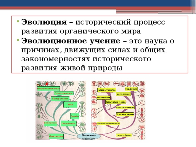 Эволюция – исторический процесс развития органического мира Эволюционное учение – это наука о причинах, движущих силах и общих закономерностях исторического развития живой природы 