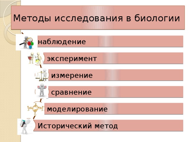 Исторический метод биологического исследования. Методы исследования в биологии наблюдение эксперимент измерение. Что такое наблюдение измерение сравнение эксперимент моделирование. Методы биологии мониторинг. Метод изучения биологии наблюдения измерение.