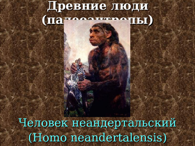 Древние люди (палеоантропы) Человек гейдельбергский ( Homo heidelbergensis) 