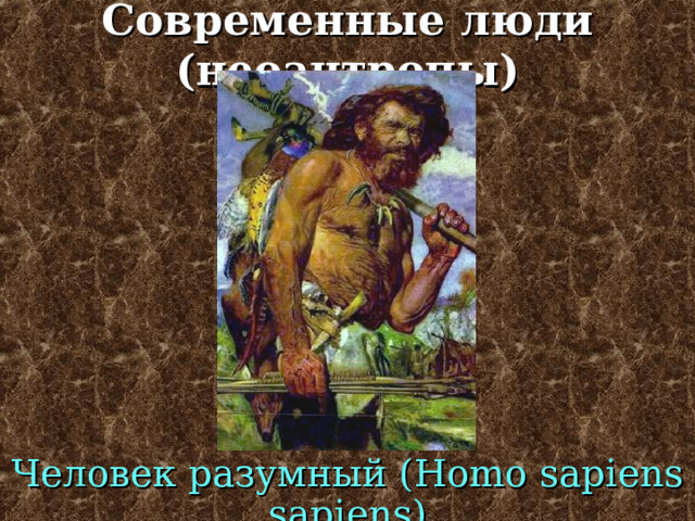 Современные люди (неоантропы) Человек идалту  ( Homo sapiens  idaltu ) 