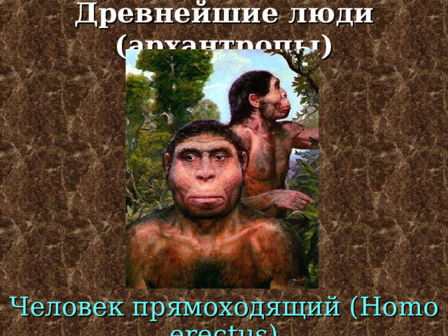 Древнейшие люди (архантропы) Человек трудящийся ( Homo ergaster ) 