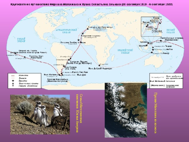 Пролив Магеллана из космоса Семья Магеллановых пингвинов. Южная Америка 