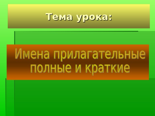 Синтаксическая роль полных прилагательных