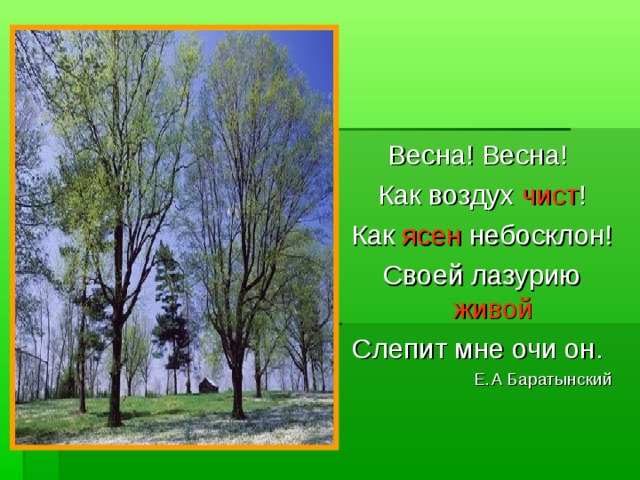 Весна! Весна! Как воздух чист ! Как ясен небосклон! Своей лазурию живой Слепит мне очи он. Е.А Баратынский 