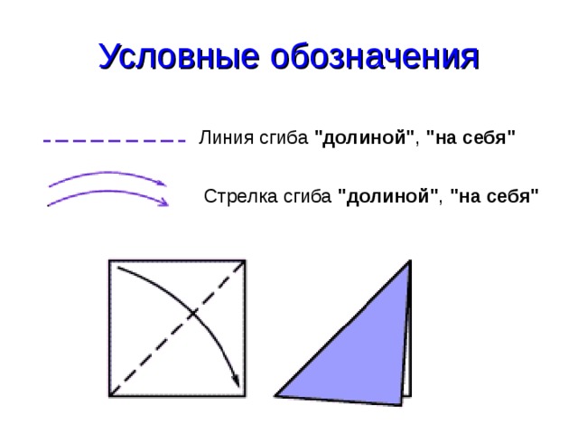 Линии сгиба на изображении обозначают