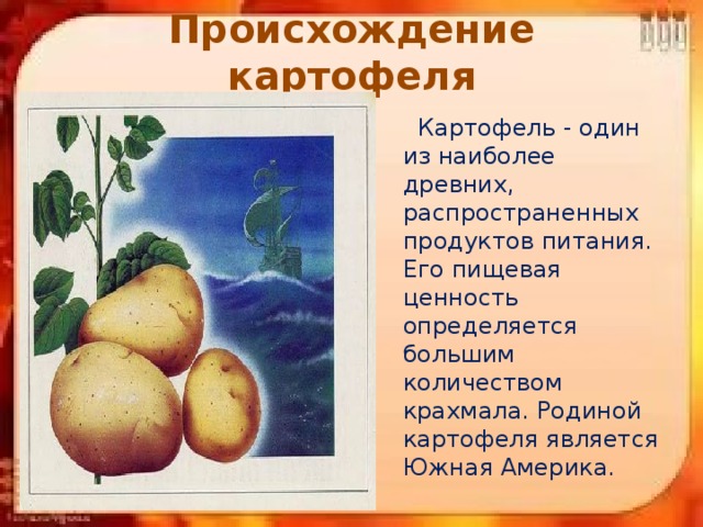 Презентация про картофель