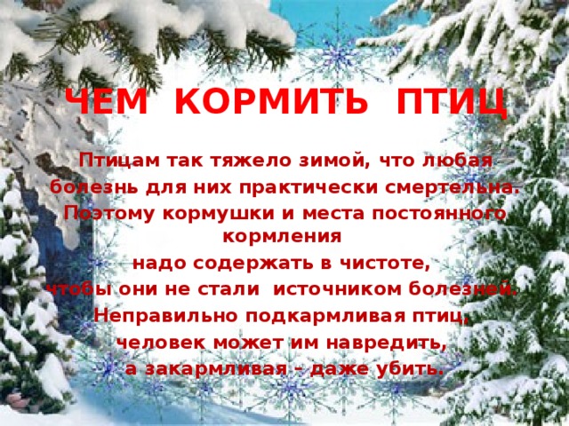 ЧЕМ КОРМИТЬ ПТИЦ Птицам так тяжело зимой, что любая  болезнь для них практически смертельна. Поэтому кормушки и места постоянного кормления надо содержать в чистоте, чтобы они не стали источником болезней. Неправильно подкармливая птиц, человек может им навредить, а закармливая – даже убить. 