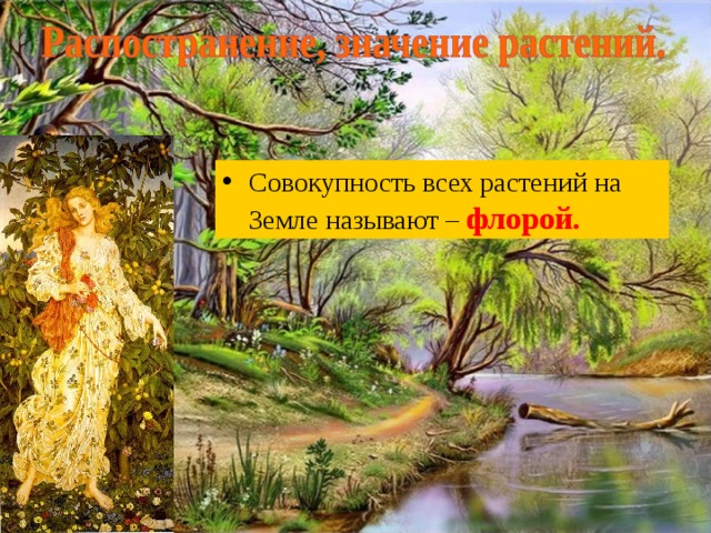 Cовокупность всех растений на Земле называют – флорой.