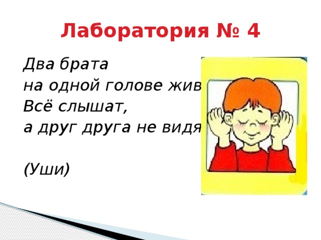 1 голова есть. Два брата на одной голове живут все слышат, а друг друга не видят уши. Слышишь друг дружок.