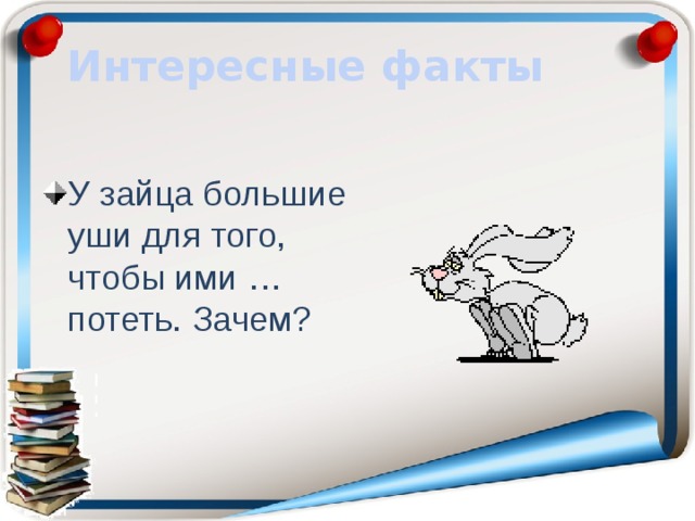 Интересные факты У зайца большие уши для того, чтобы ими … потеть. Зачем? 