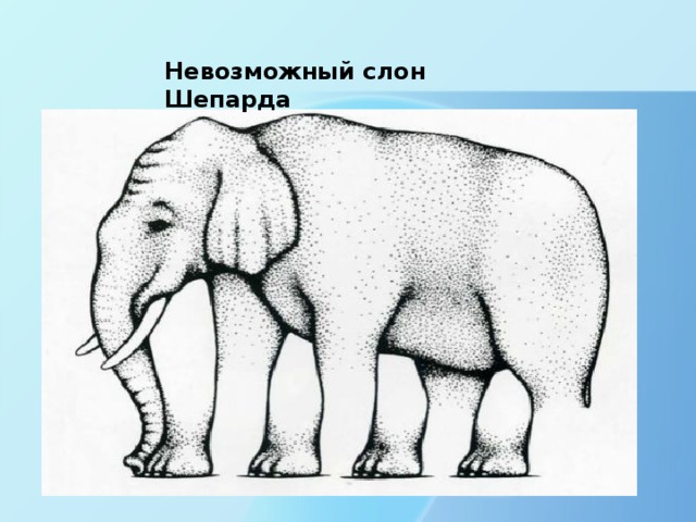 Невозможный слон Шепарда   
