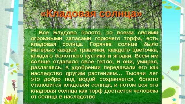 Цитатный план сказки были кладовая солнца