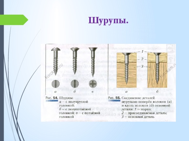 Установите соответствие названия гвоздей их изображению на рисунке