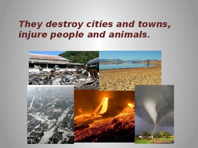 They destroy cities and towns, injure people and animals . 