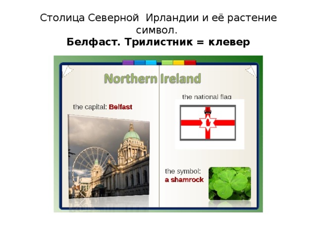 Столица Северной Ирландии и её растение символ.  Белфаст. Трилистник = клевер 