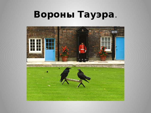 Вороны   Тауэра . 